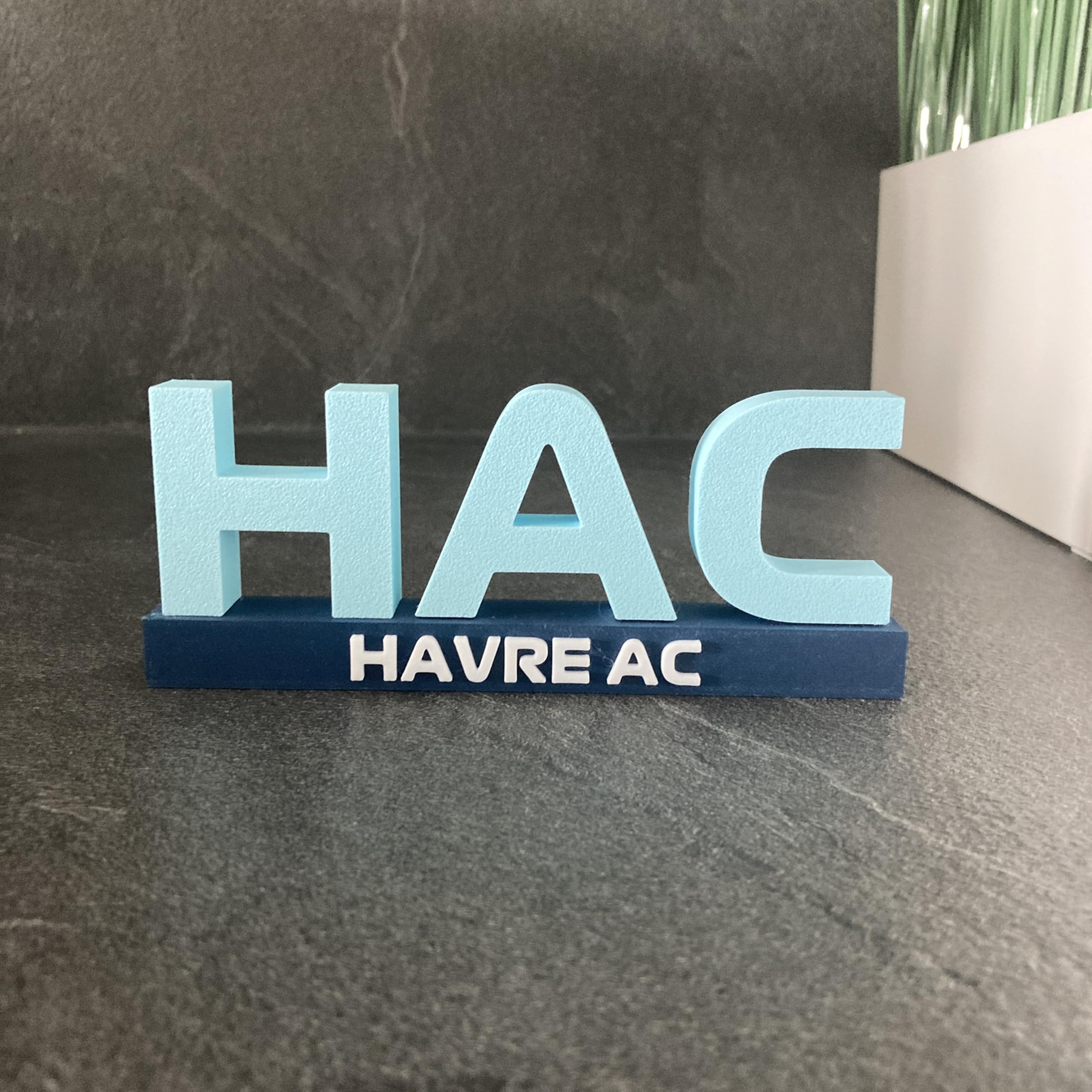 Logo décoratif Foot HAC Le Havre
