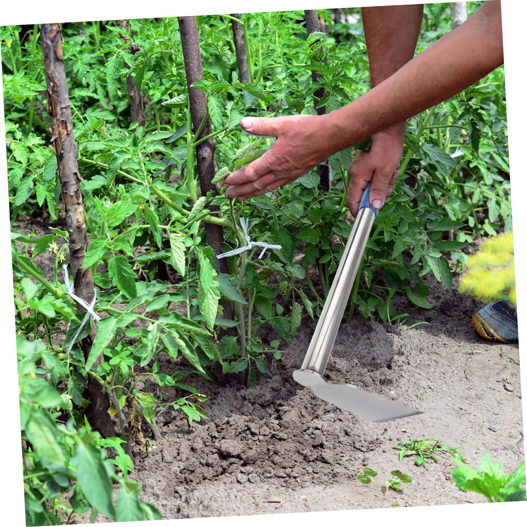 Abaodam 2 Piezas Azada De Jardinería Azada para Cavar Tierra Herramienta De Jardinería Plantar Azada Equipo De Jardinería Suministro De Jardinería Acero Inoxidable Silver