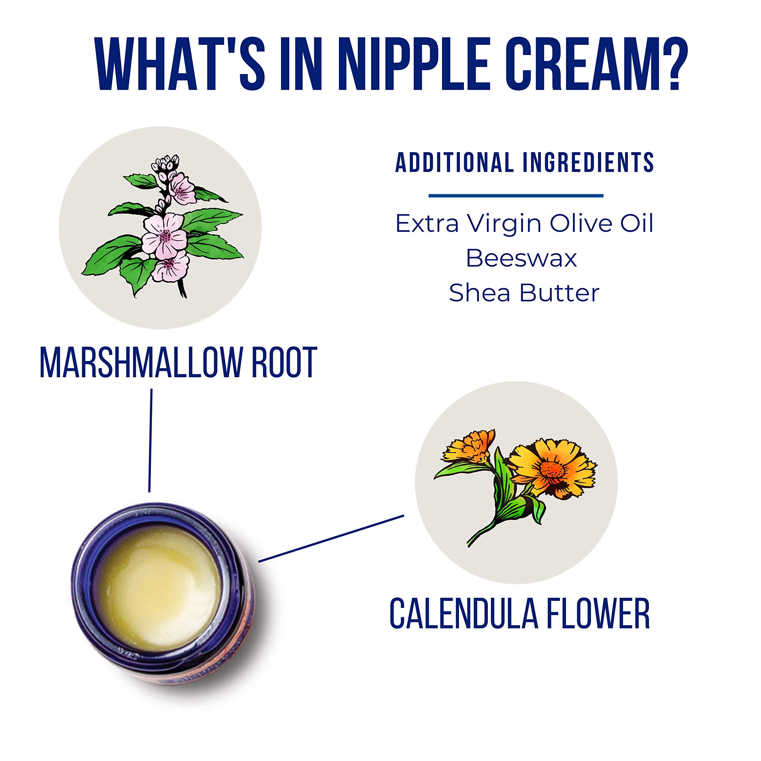 Nipple Cream (1oz) Organic LanolinFree Herbal Salve For Breastfeeding