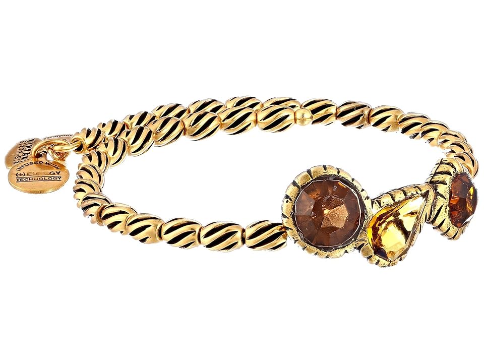 

Alex and Ani The Night's Mosaic Coll. Treasure Trove Wrap Bracelet (Rafaelian Gold/Topaz) Bracelet