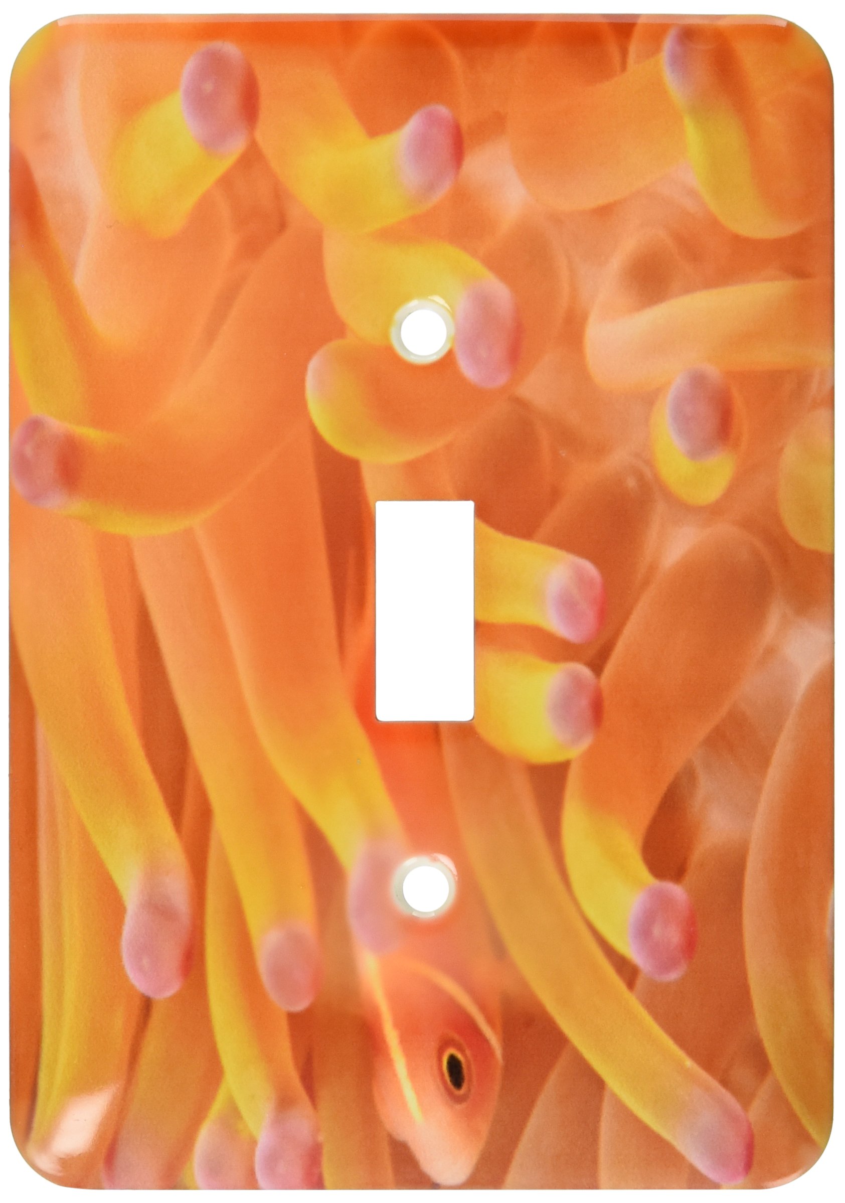 Anemonefish interrupteur mural original 3dRose LSP_71969_1 motif poisson clown