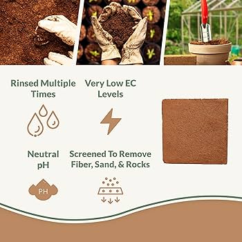 Amazon.com : Coco Bliss (10lbs) - Organic Coco Coir for Plants Amazon.com : Coco Bliss (10lbs) - Organic Coco Coir for Plants