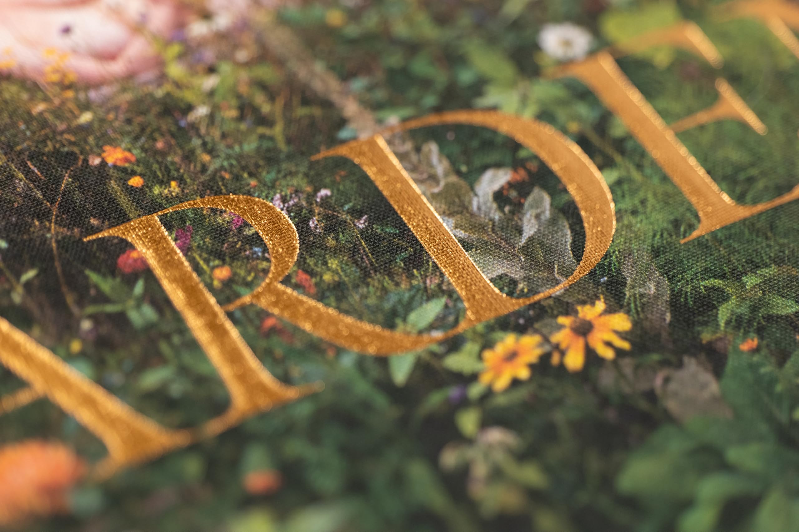 SiAn Davey: The Garden /anglais