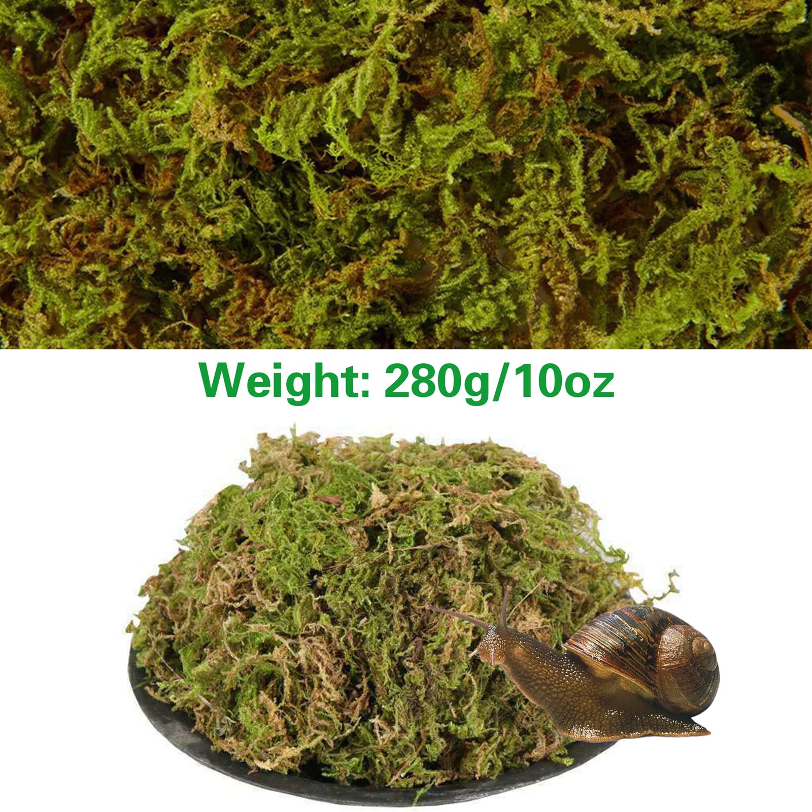 Naturalny mech premium dla gadów, zielony mech, mata mchowa, dekoracja do terrarium, ślimaków, żab, pustelników, żółwi