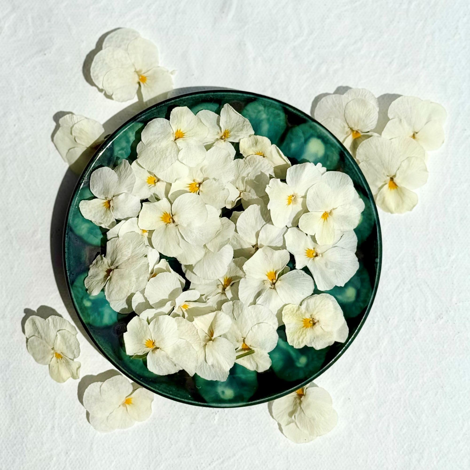 Edible Freeze Dried White Violas - 20 Flower Heads - UK Grown & Dried - Food Grade (544)