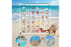 Artlunar Seashell Display Box