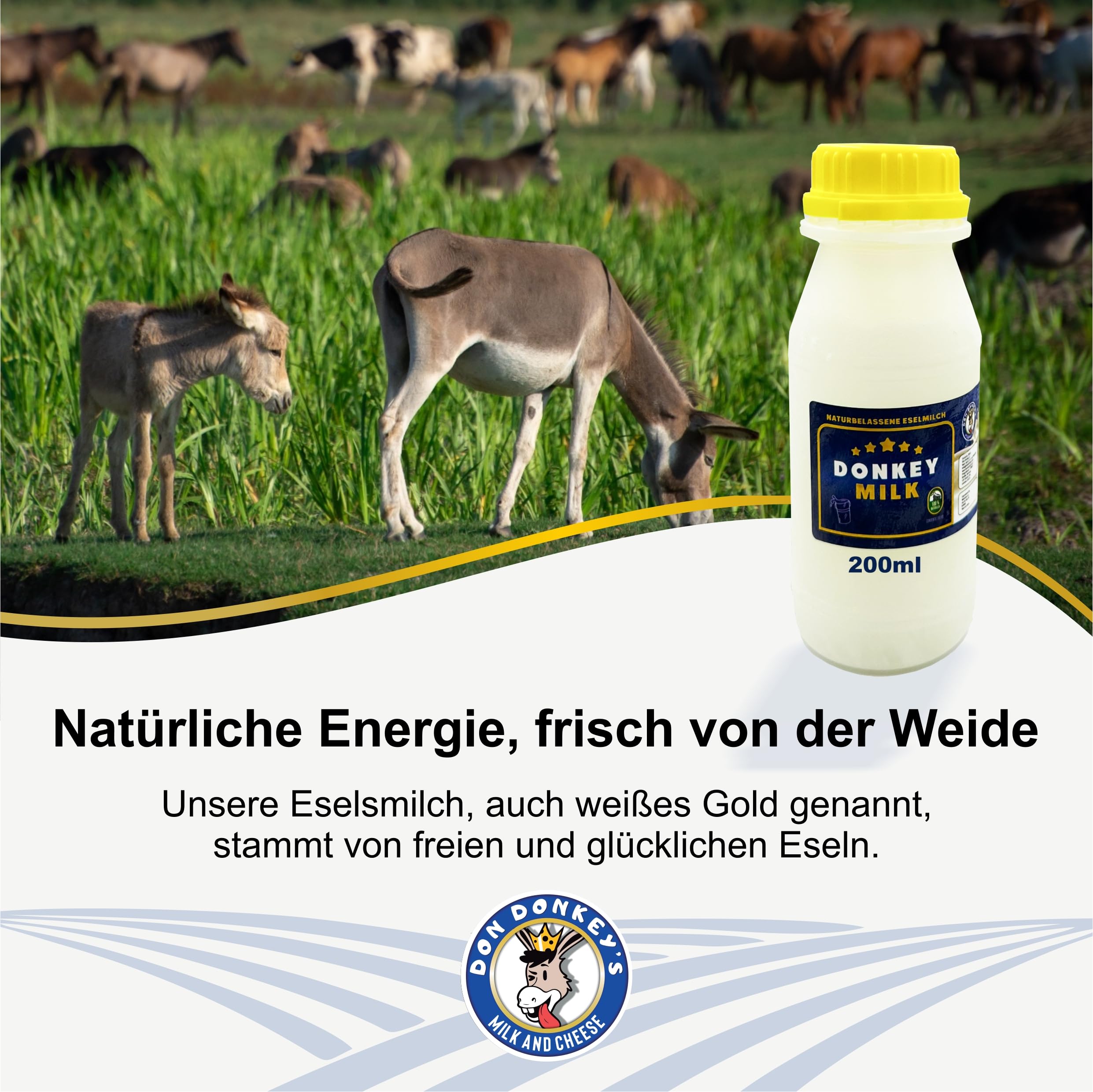DON DONKEY'S Mleko osiołka 200 ml | 2 butelki o pojemności 100 ml | naturalna pielęgnacja dla skóry wrażliwej i alergików | surowe mleko o niskiej zawartości laktozy do wspomagania pielęgnacji skóry i