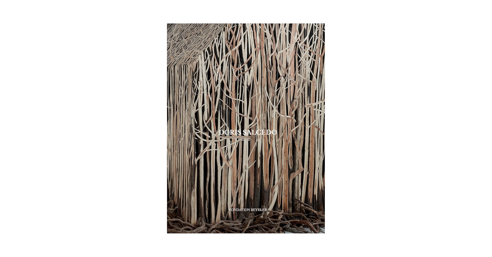 Doris Salcedo ドリス サルセド Contemporary 作品集 Doris Salcedo ドリス サルセド Contemporary 作品集 DORIS