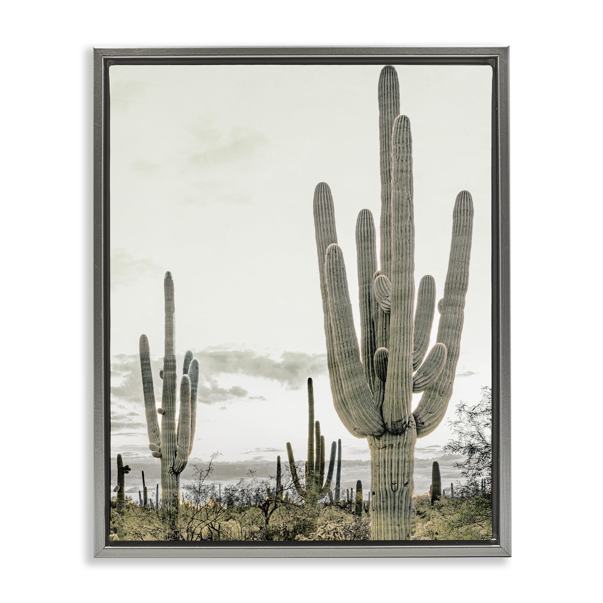 Stupell Industries Luster Gray (Matte) Subdued Desert Cacti Landscape, 24 X 30 Inch Canvas In Floater Frame