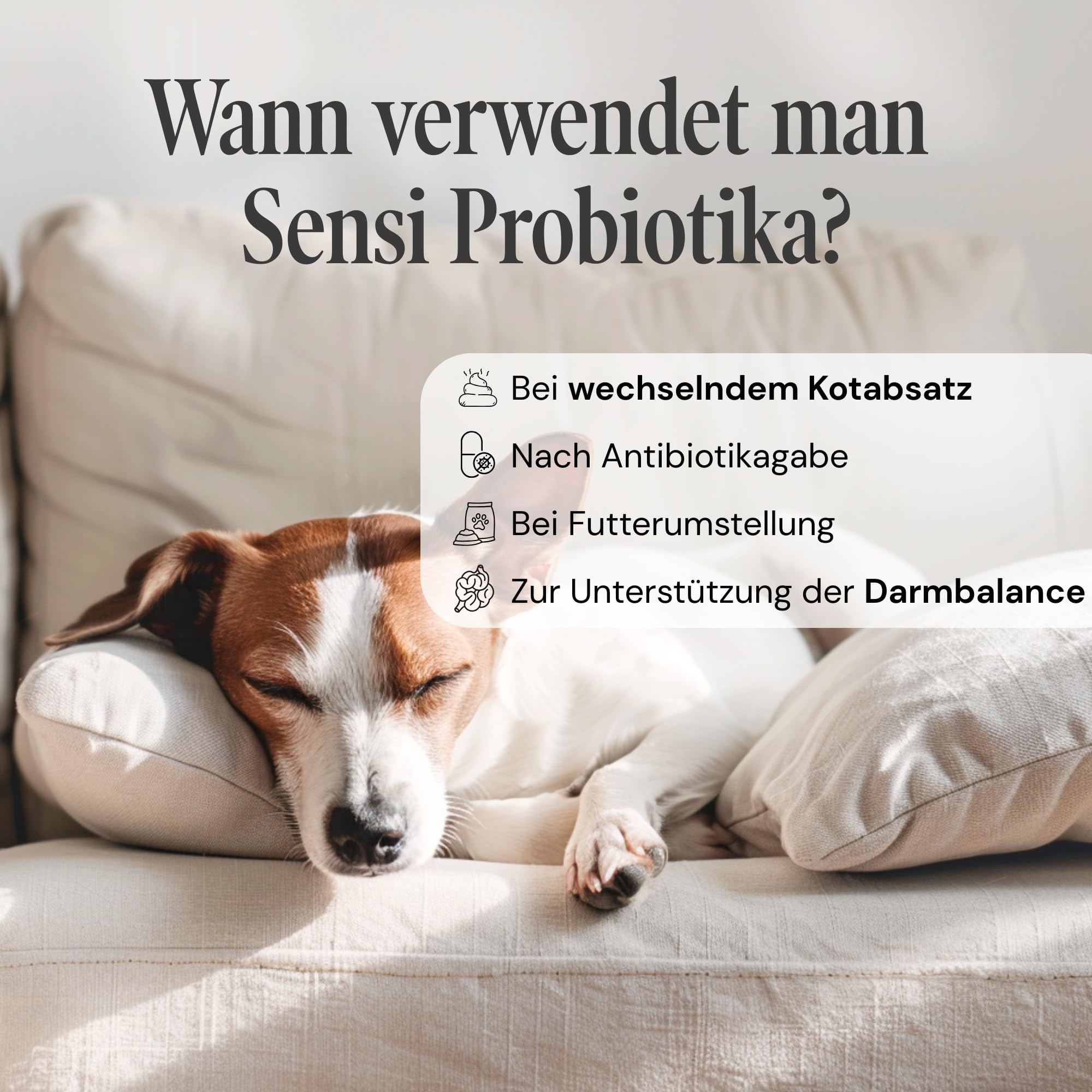 Probiotyk dla psów i kotów – wsparcie flory jelitowej przy miękkim stolcu i wrażliwym trawieniu – 15 probiotycznych szczepów bakterii + prebiotyki – 100 g proszku Sensipharm