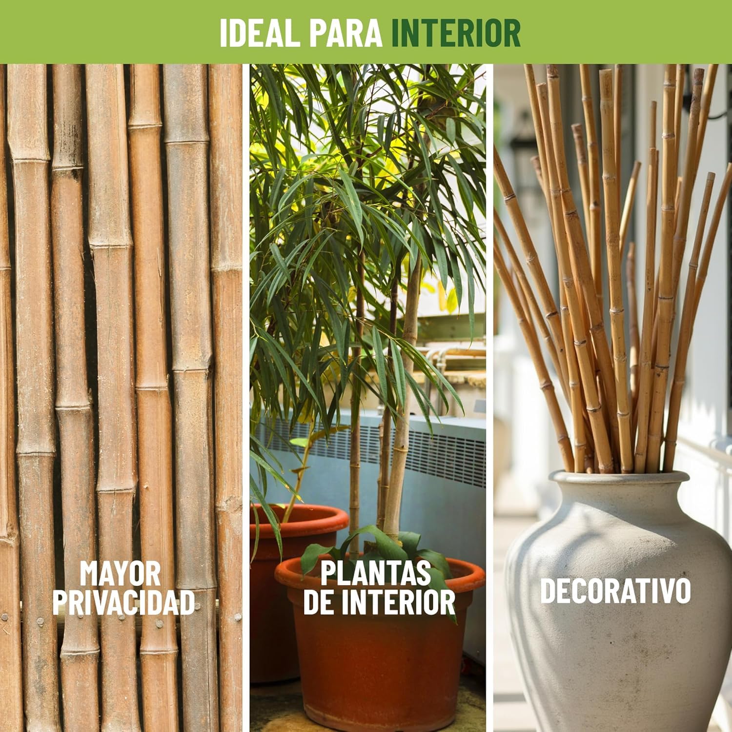 CONTROL GARDEN 90 Tutores de Bambu para Plantas 180 cm Grosor 14-16 cm | Cañas Estacas Natural para Tomateras, Enredaderas y Sujetar Cultivos | Varas Resistentes Huerto y Jardin