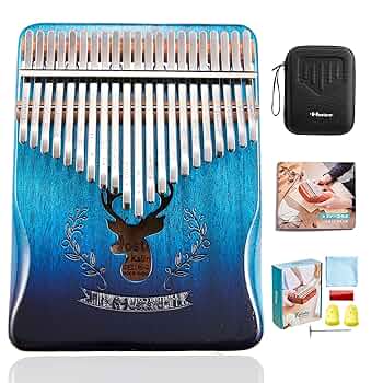 新品　コアエレキカリンバ　ハードケース付き エレキカリンバも21KEYも入荷しました！エキスポシティ店