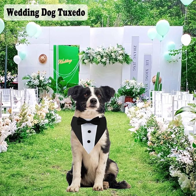 Corbata de Moño y Bandana de Esmoquin Formal para Perro, Traje de Boda miniatura 2