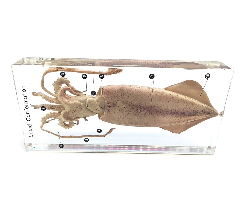 足銀製 動物模様 430g　中国美術文鎮　３本 足銀製 動物模様 430g 中国美術文鎮 （2025年最新】足銀文鎮の