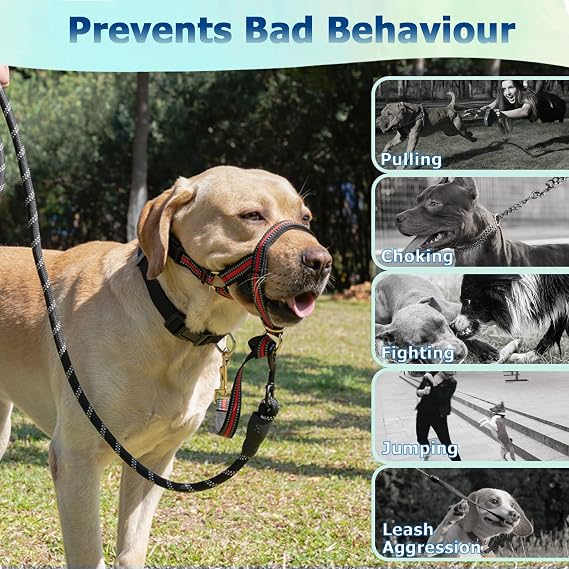 M Reflective Head Collar and M Adjustable Red No Pull Muzzle Leash Bundle for Medium Dogs, Effective Dog Training Tools to Prevent Pulling, Lunging, Jumping