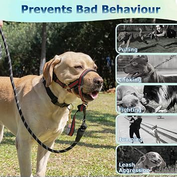 M Reflective Head Collar and M Adjustable Red No Pull Muzzle Leash Bundle for Medium Dogs, Effective Dog Training Tools to Prevent Pulling, Lunging, Jumping