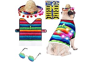 Mexican Serape Dog Costume: Vibrant Fiesta Attire for Canine Companions