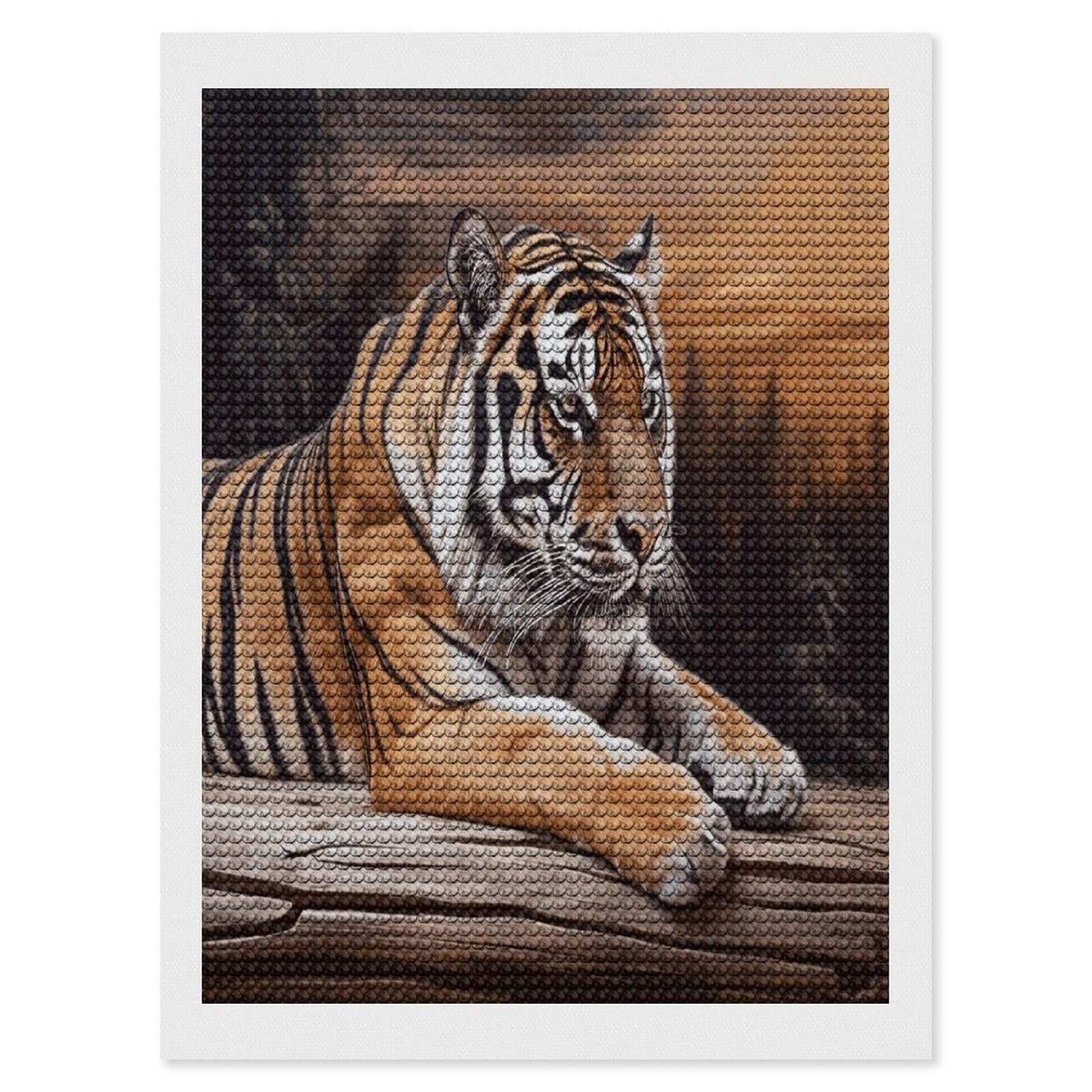 LDGSUPH Tiger Lying on Wood Diamond Painting Kits for Adults Paint with Diamond Pictures Art DIY Full Drill Diamond Dots Painting Personalized Diamond Photo for Home Wall Decor Gift 12"x16"