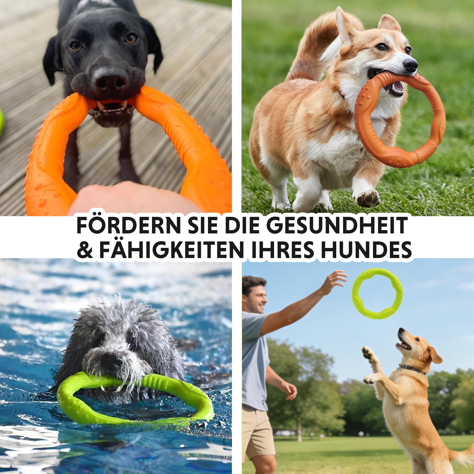 LaRoo Frisbee pierścień fitness dla psa, niezniszczalny pływak dla psów, zabawka, letni trening zwierząt domowych, dla średnich i małych psów
