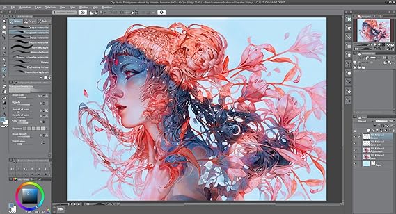 Clip Studio Tabmate For Global Amazon It Software