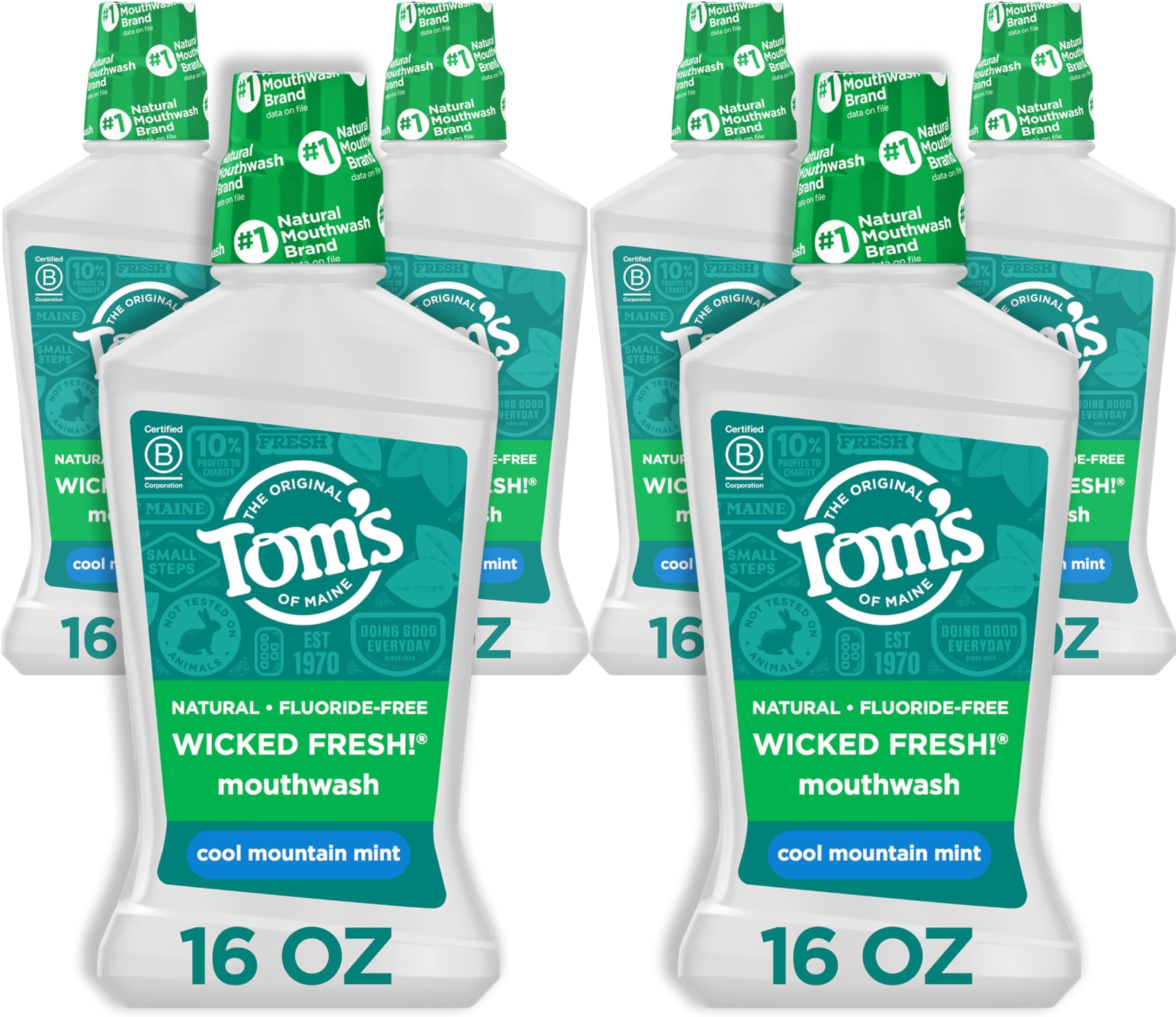 Natural Wicked Fresh Alcohol-Free Mouthwash, Cool Mountain Mint, 16 oz. 6-Pack (Packaging May Vary)