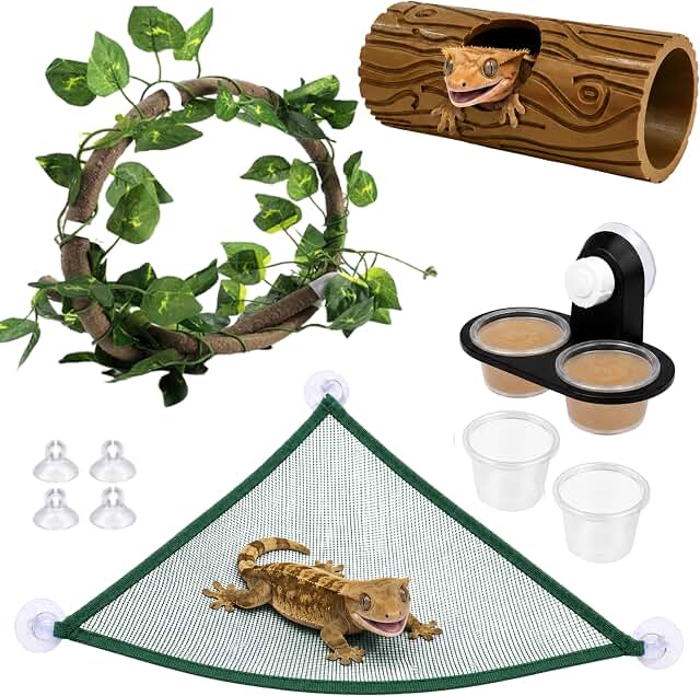 Crested Gecko Tank Accessories Climbing Decor