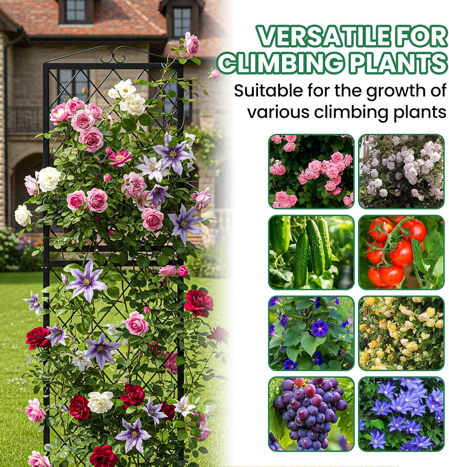 SUNYRISY 2Pack Metal Garden Trellis for Climbing Plants Outdoor, 71x20in Metal Plant Support for Flowers Tomato Cucumber Rose Vegetable Garden Courtyards Lawns Decoration