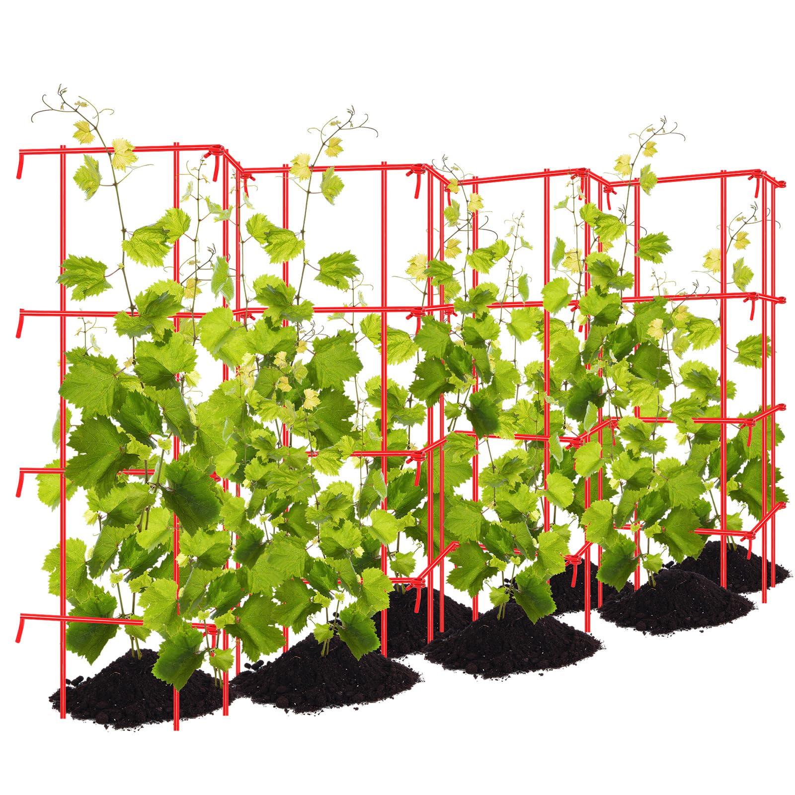 Treillis pour plantes grimpantes Blulu support acier extensible pour pois et tomates