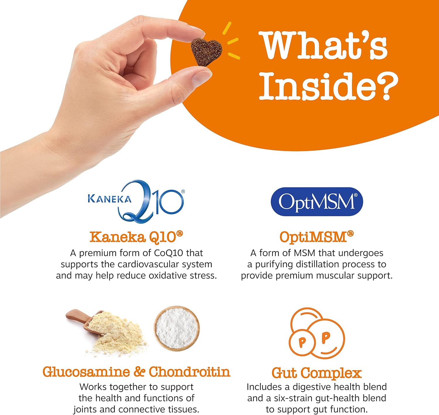 zesty paws multivitamin