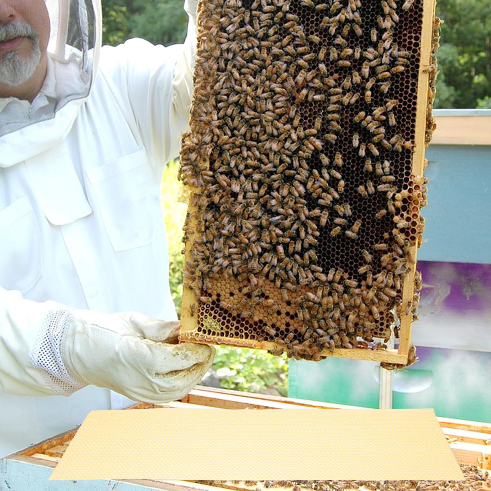 Fogli di Fondazione per Arnia in Cera D’api 10 Pezzi Arancia | Attrezzatura per Apicoltura, Fogli Naturali per Costruzione Nido, Formato Pratico per Lavorazione Rapida