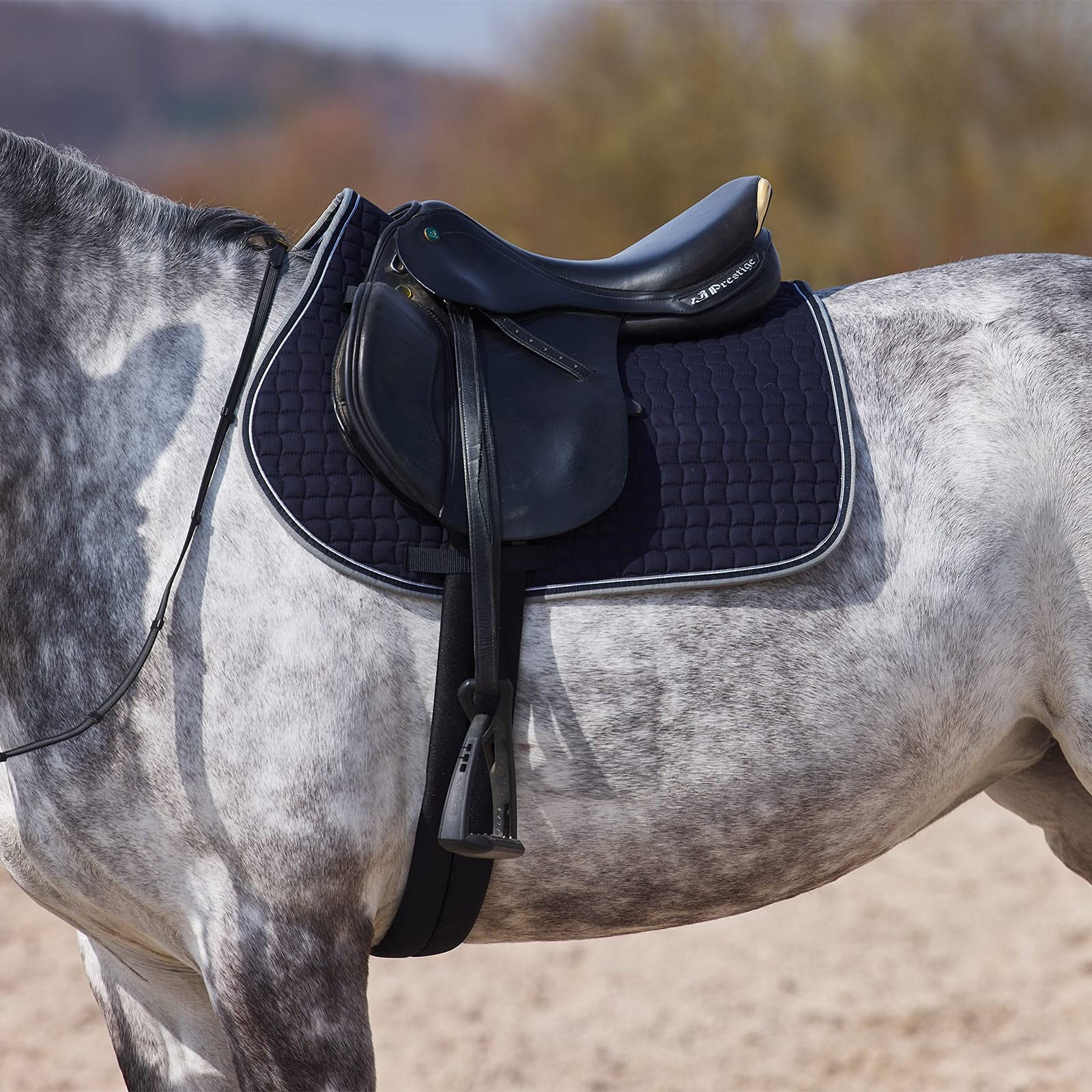 HORZE Mantilla de Uso General Adepto, Azul, F
