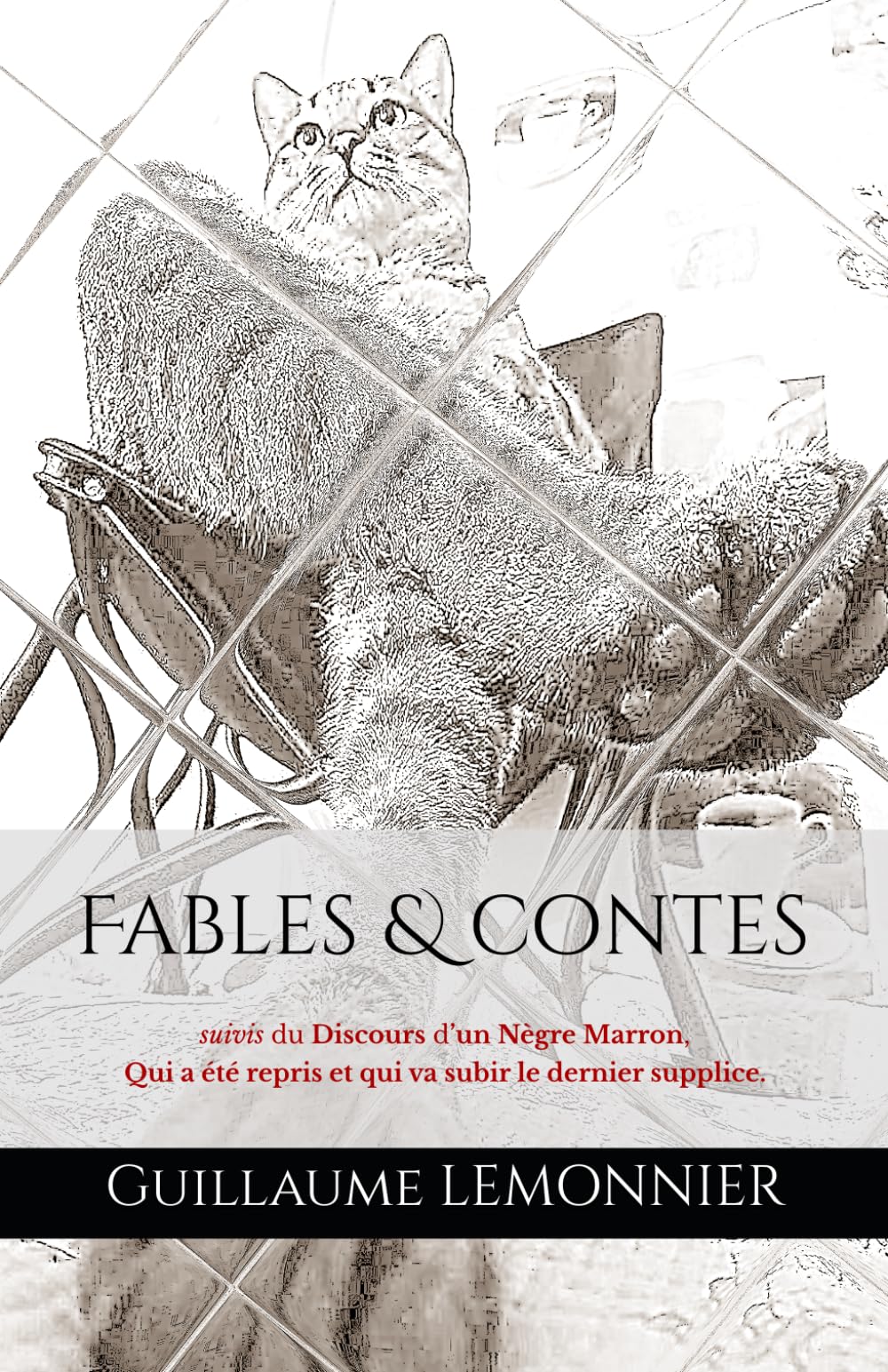 Fables & contes: suivis du Discours d’un Nègre Marron, Qui a été repris et qui va subir le dernier supplice