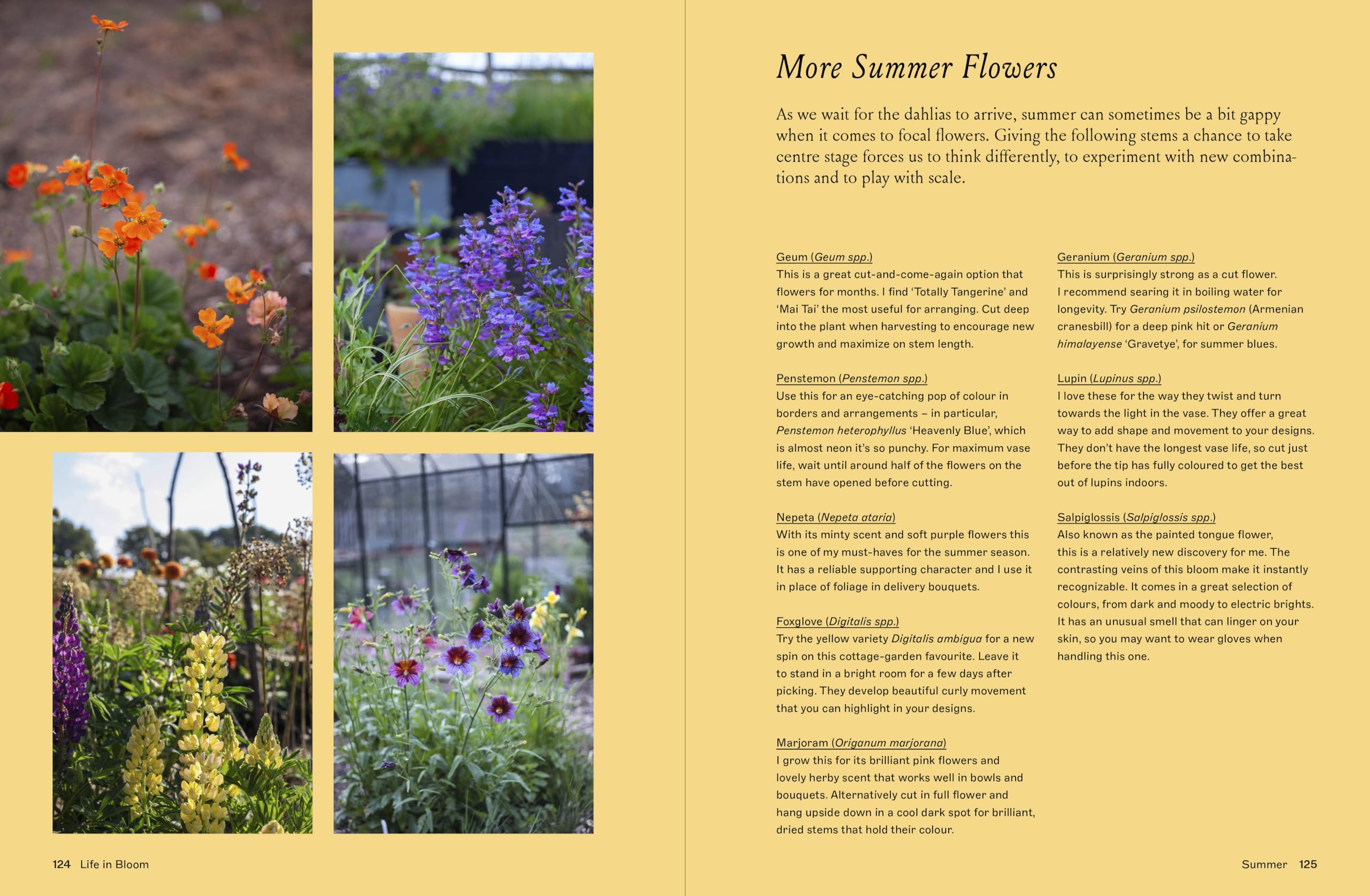 Life in Bloom: Grow, Gather & Arrange Seasonal Flowers