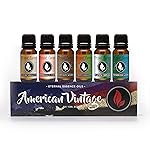 Eternal Essence Oils American Vintage Set of 6 Premium Fragrance Oils - Sandalwood Vanilla, Frankincense & Rain, Cardamom Cedar Blossom, Aspen Grass, Warm Rustic Woods, and Barbershop 1920-10ML