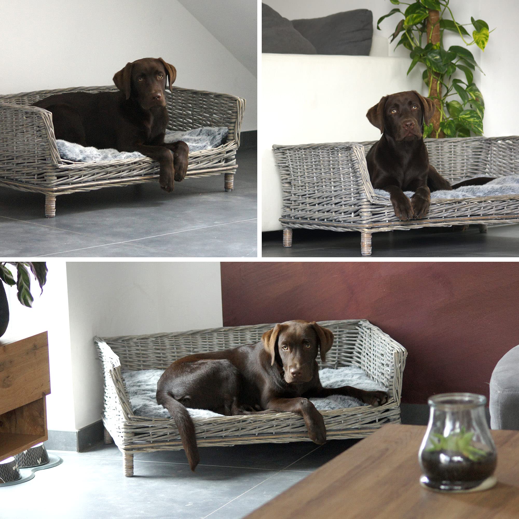 UNUS Panier pour Chien en Osier avec Coussin - Gris - Carré, pour Chiens Petits et Grands 88 cm de Largeur