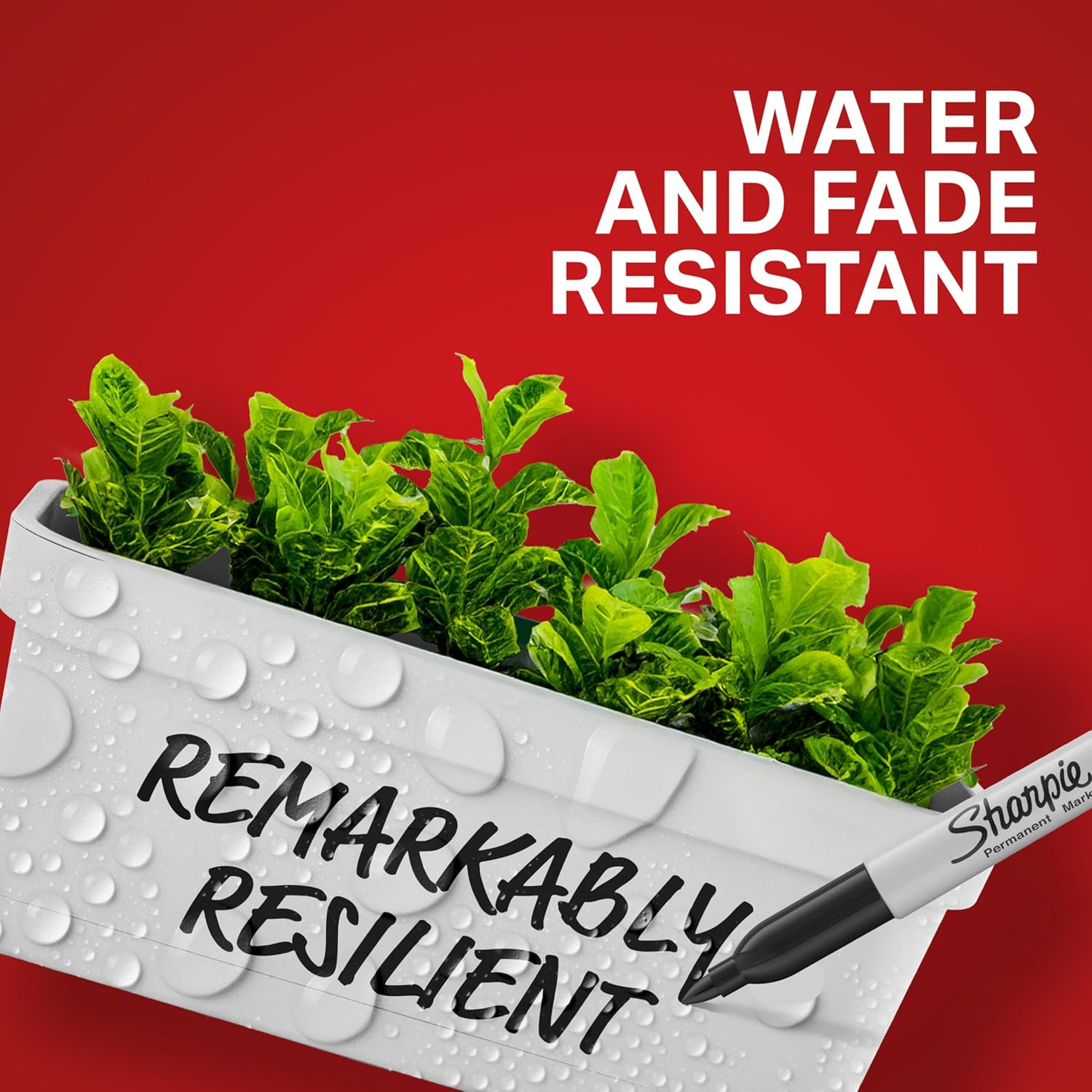 Unleash Your Creativity: Review of Sharpie Fine Point Permanent Markers - 40 Count