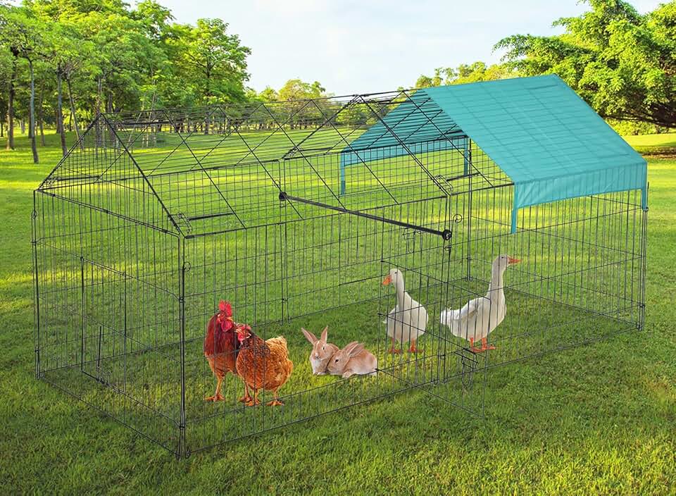 chicken cage