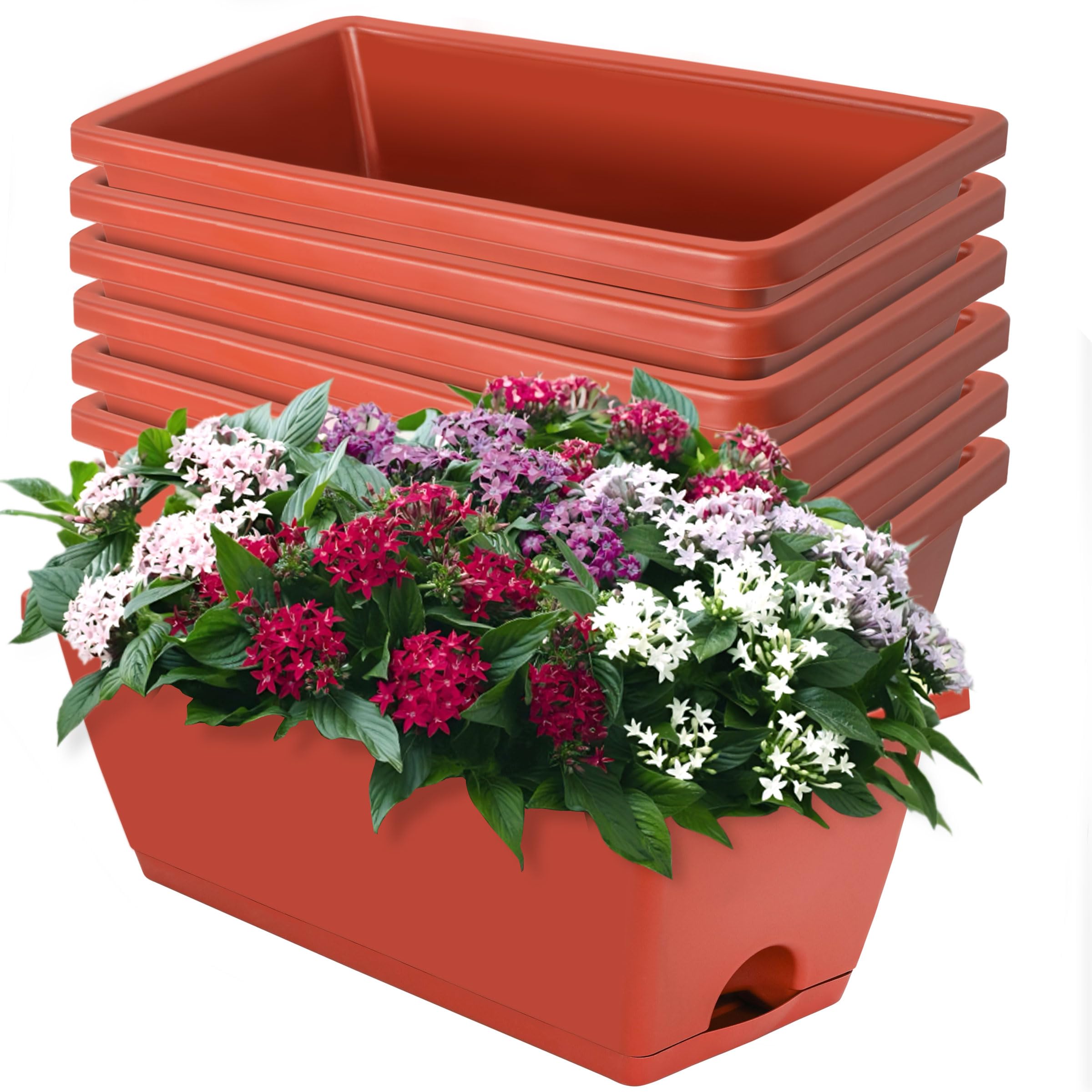 Willing plant ordinal pot W.P-004 Mix⑧ LOCONHA Window Box Planter, 7 Pack Plastic Vegetable Flower