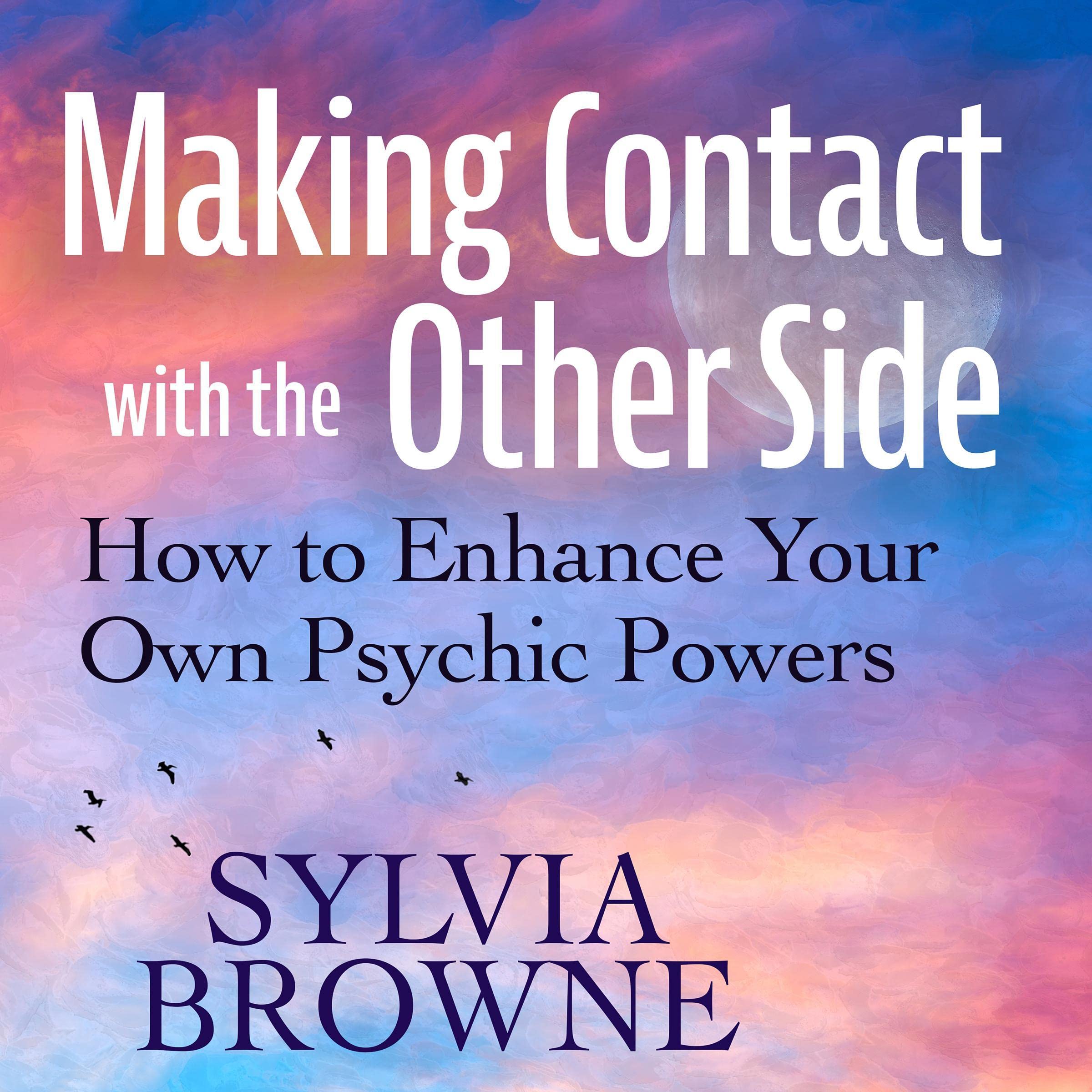 Cover art for Making Contact with the Other Side