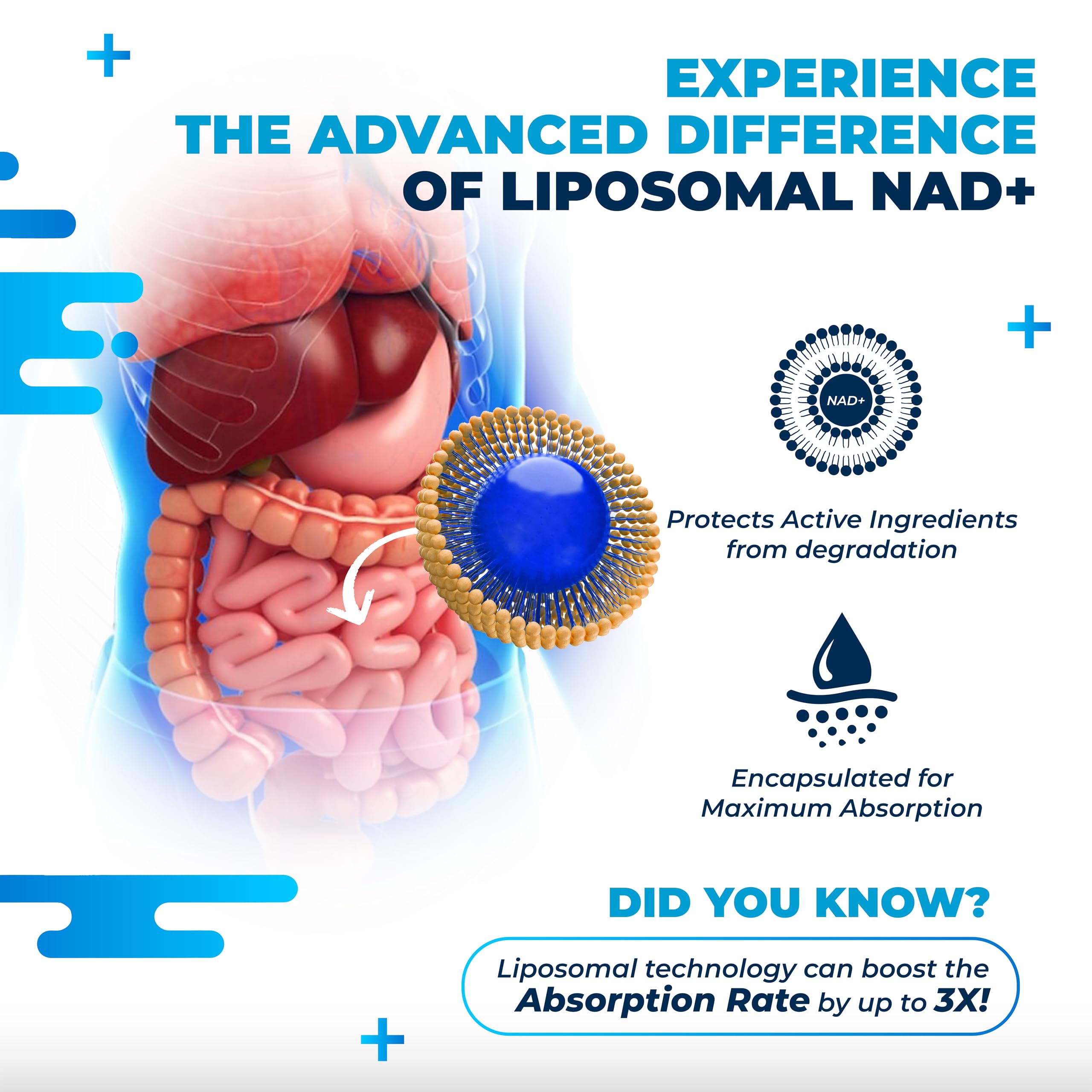 Transresveratrol NAD+ liposomal con vino tinto, cardo mariano, quercetina y fisetina, ayuda a envejecer saludablemente, fabricado y probado en los EE. UU.