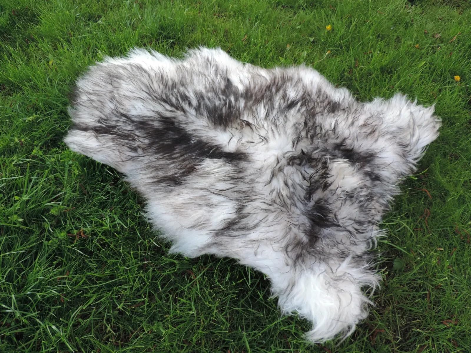 Top Öko Natur Schaffell Lammfell Lamm Fell S-XXXL! (Schwarz geflammt, 70cm - 80cm)