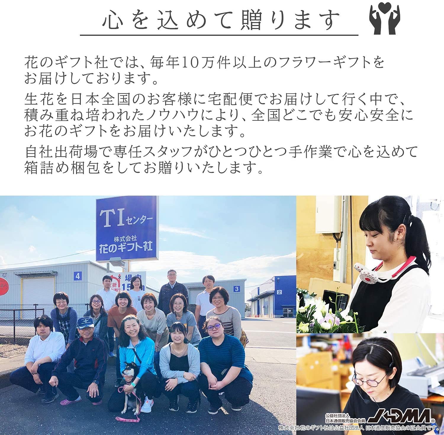 Amazon | 花のギフト社 さぼてん ウチワサボテン 三毛猫