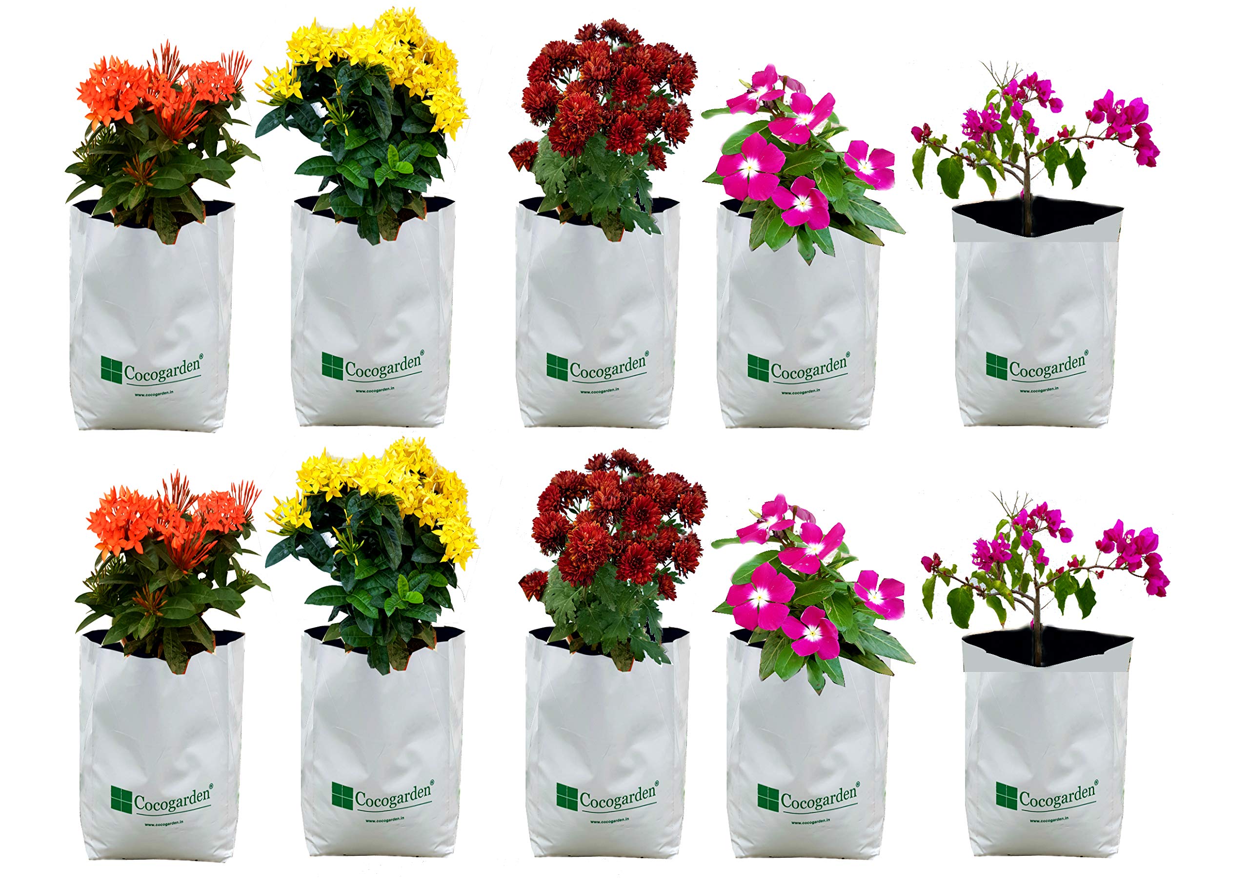 See full amazon price history chart for cocogarden UV Treated Poly Grow Bags for Terrace Gardening (20 x 20 x 40) cms (White, Pack of 10) | Home Gardening Plant Container Bag for Leafy Vegetable and Flower Plants cocogarden UV Treated Poly Grow Bags for Terrace Gardening (20 x 20 x 40) cms (White, Pack of 10) | Home Gardening Plant Container Bag for Leafy Vegetable and Flower Plants (B07LB8B882) Amazon Price History, Amazon Price Tracker