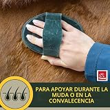 Ver la foto 7