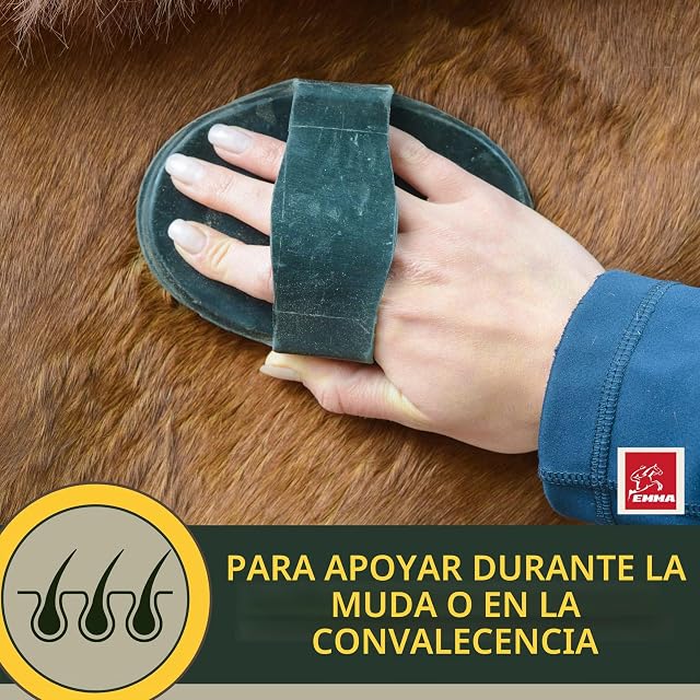 Foto 7 de 8 de Vitaminas para Caballos + Refuerzo I alimento Mineral para Caballos I vitaminas B I Vitamina E Complejo B12…