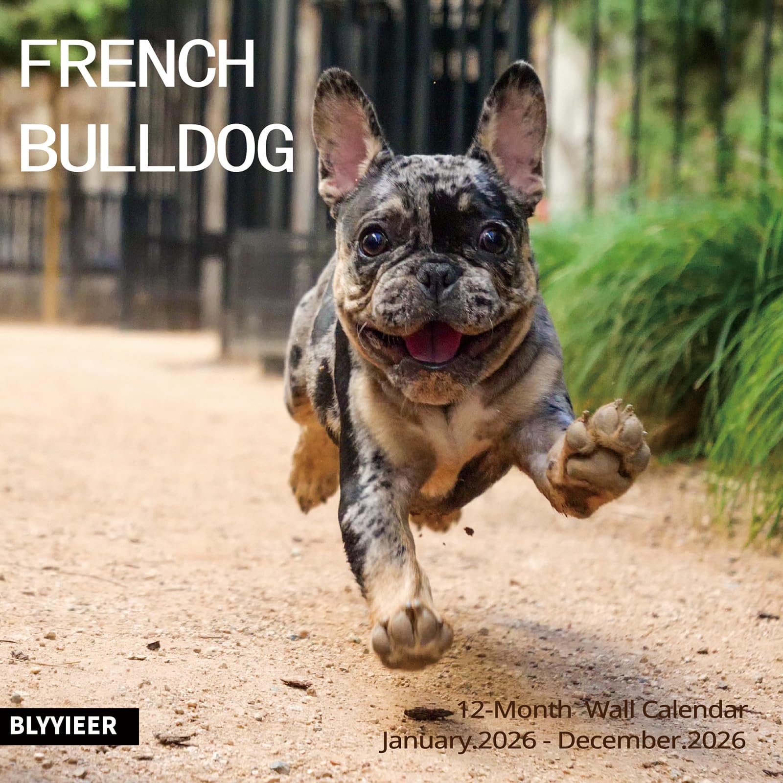 2025-2026 Wall Calendar,French Bulldog Wall Calendar, 12" x 24" Open,Family Planner Calendar Organizer with French Bulldog Images, for Dogs Lovers
