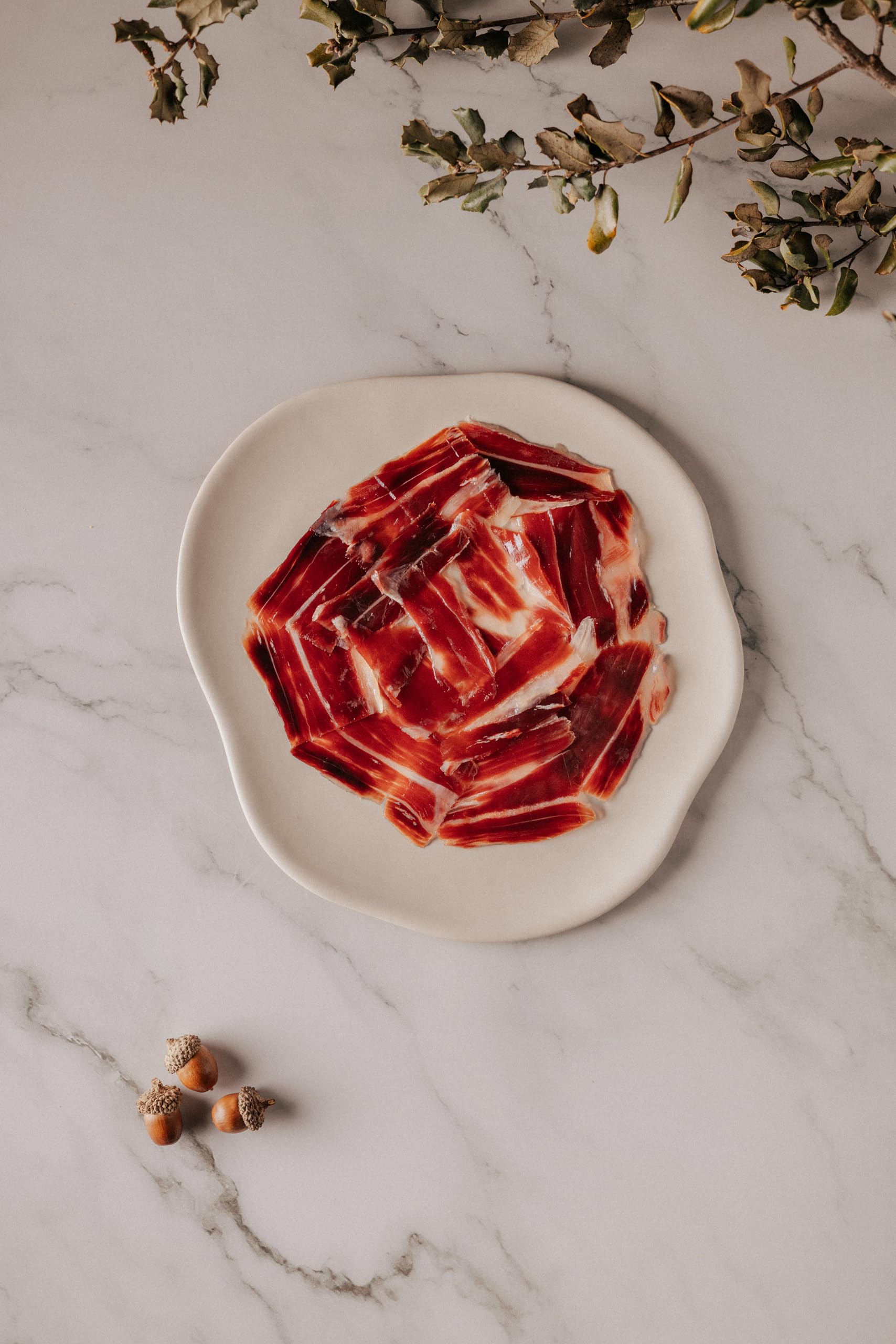 Maximiliano - Paleta Cebo de Campo - Paleta 100% Ibérica - 1 Estuche de 100 gr - Loncheada a Máquina - Exclusiva y Auténtica - Curación 18 Meses - Crianza en Libertad - Origen Sierra de Huelva