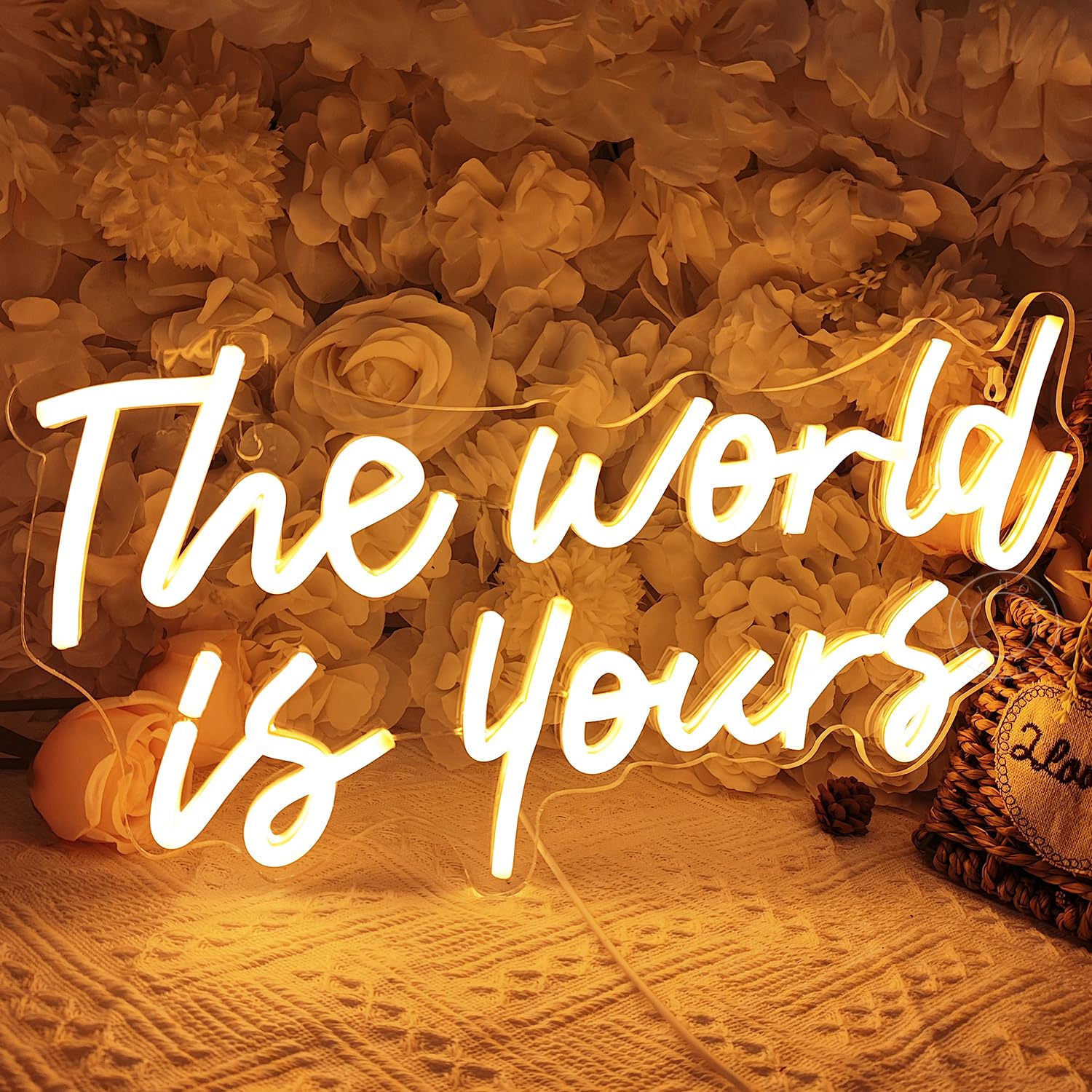 SYLHOME The World Is Yours Led Neon Light Sign Cool Bedroom Game K
