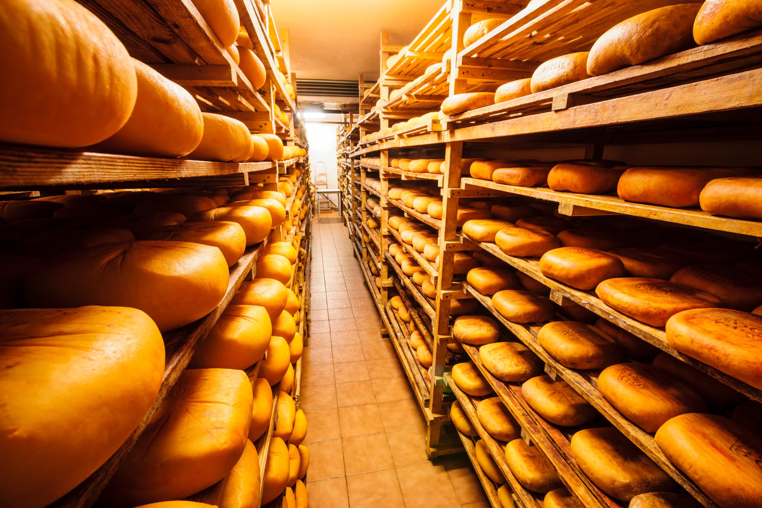 Queso Mahon Menorca DOP 1 kg España Sazonado Productos lácteos Artesanal Seleccionado por El Salumiere
