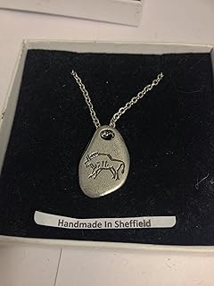 Bison & Hunter kamień runa WE-NHBIP angielski cyna na posrebrzanym łańcuszku platyną 45 cm